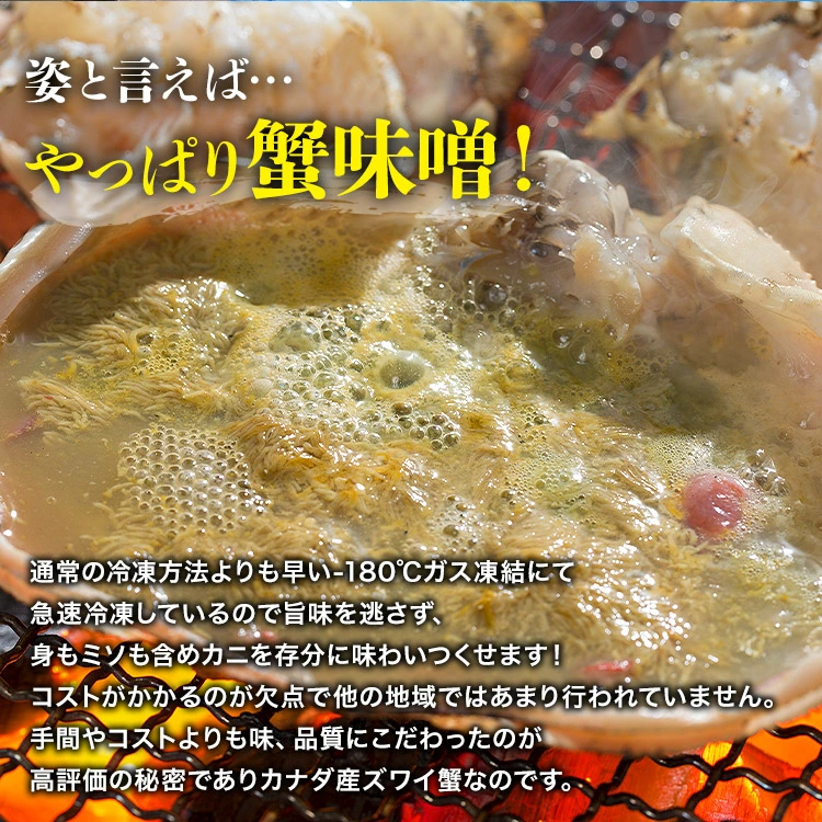 かに 姿ずわいがに ボイル済み 2尾セット 約1.5kg(1.4kg～1.6kg) 高級