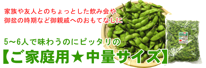 ご家庭用★中量サイズ