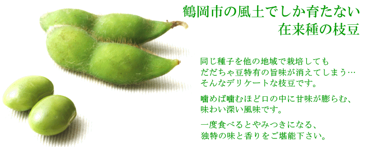鶴岡市の風土でしか育たない在来種の枝豆