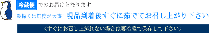 【冷蔵便】でのお届けとなります