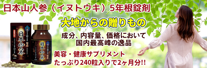 日本山人参（イヌトウキ） 5年根錠剤 240粒 : suppli-003 : 湘南