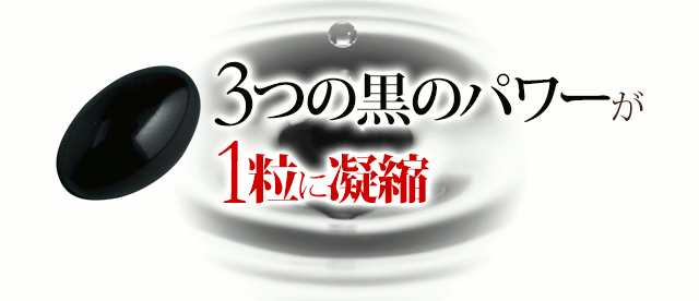 3つの黒のパワーが1粒に凝縮