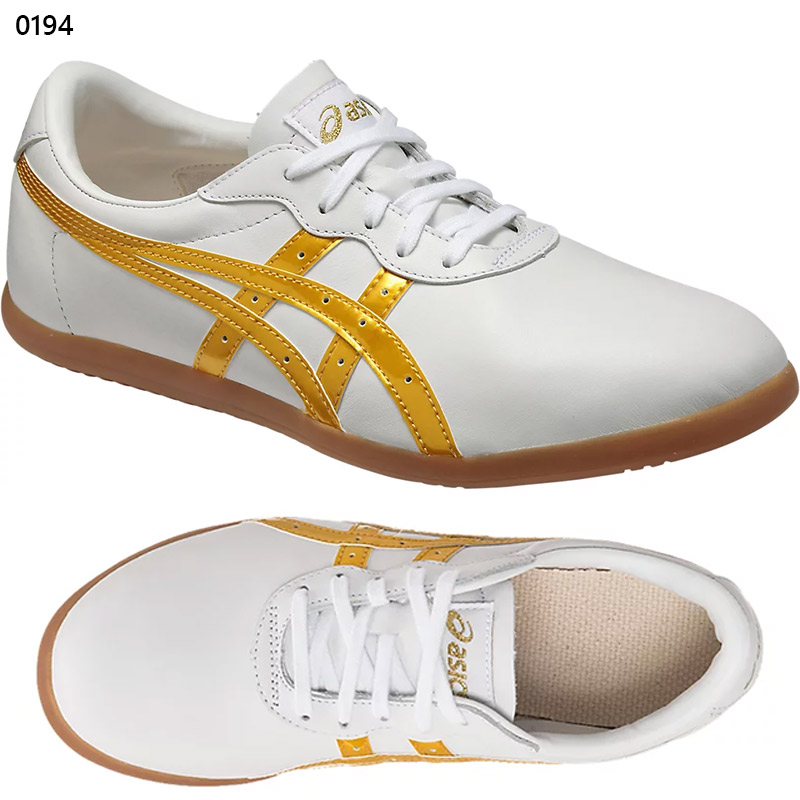 アシックス　太極拳シューズ ウーシューWU ASICS アシックス シューズ メンズ 太極拳 TOW013 4カラー