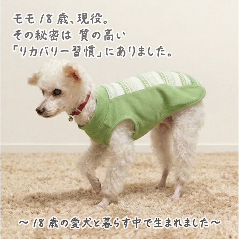 ラフギーグル からだ想いのウェルネスドッグウェア ロングボディ