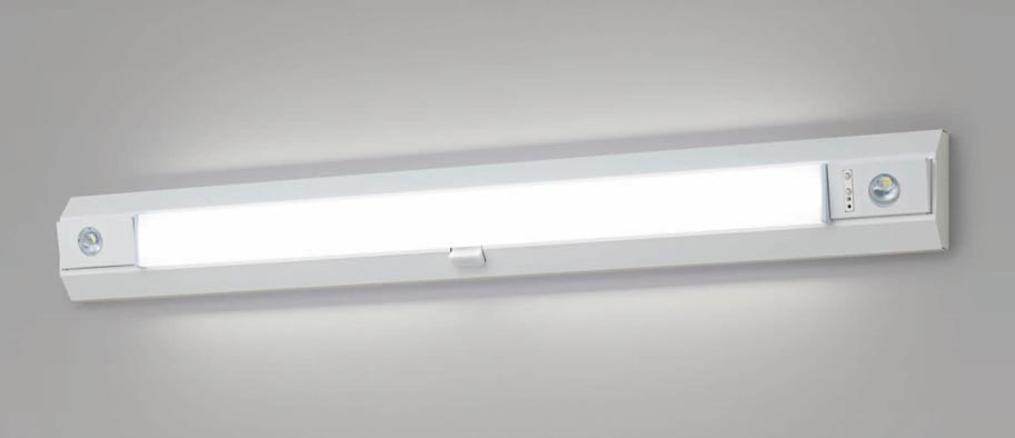 LED非常用照明器具 パナソニック NNCF42135JLE9 昼白色 一体型階段灯 30分間タイプ リモコン自己点検機能付