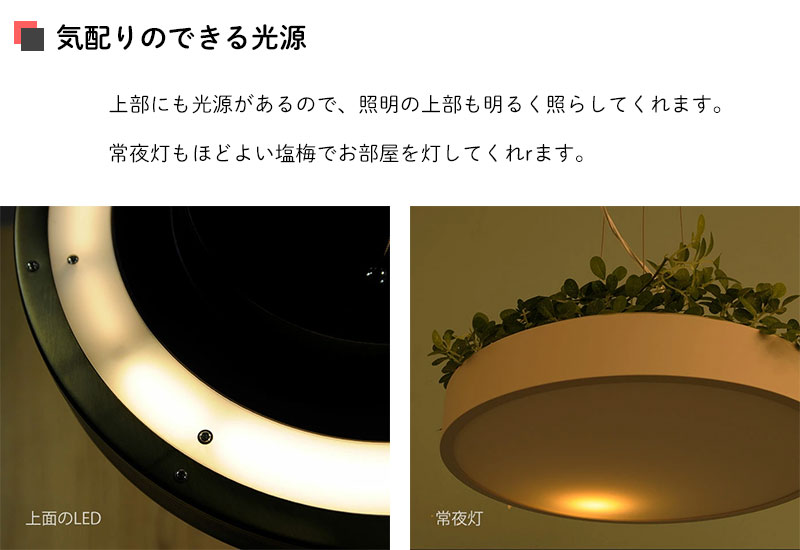 DI CLASSE（ディクラッセ） 照明器具 ポイント利用 LED シーリング