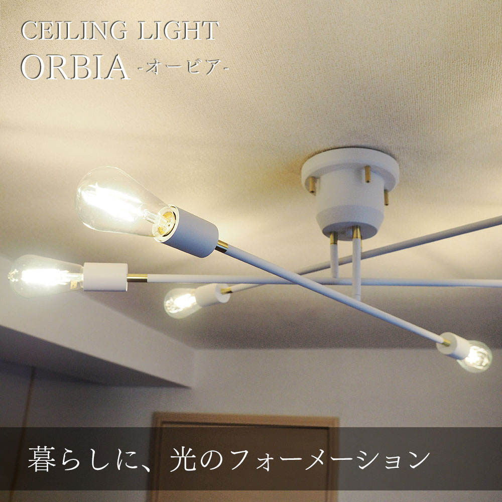 シーリングライト 照明器具 ポイント利用 LED 8畳 10畳 可動式