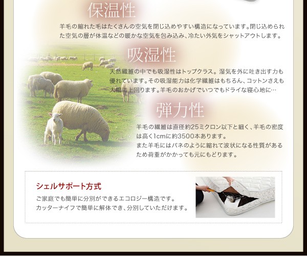 【値下げ中】 モダンライト・コンセント付きチェストベッド【Diaz】ディアス　フレームのみ　シングル 【RI6689403076】(24178円)