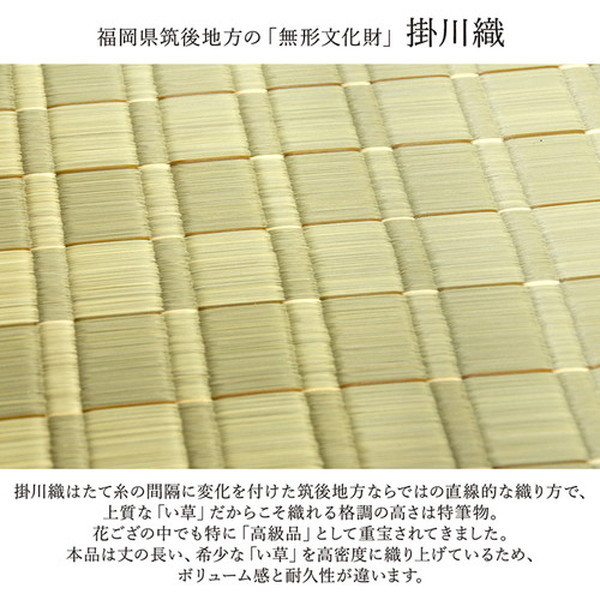 い草 花ござ ラグマット/絨毯 〔本間3畳 約191×286cm ベージュ〕 日本