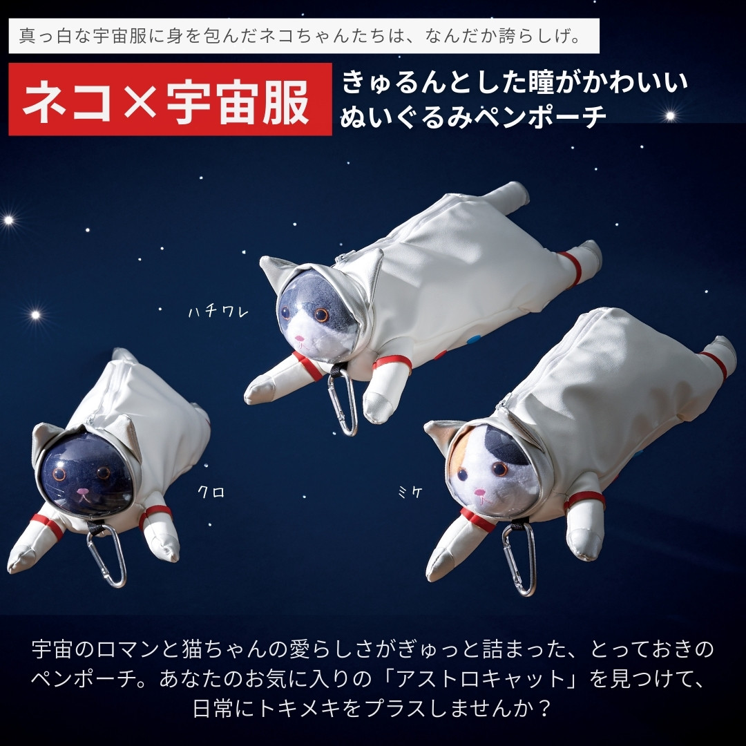 アニマルペンケース ねこ 6点セット C/D:41676] [セット数:6pcs] アニマルペンケース ねこ ｜ ORDERING