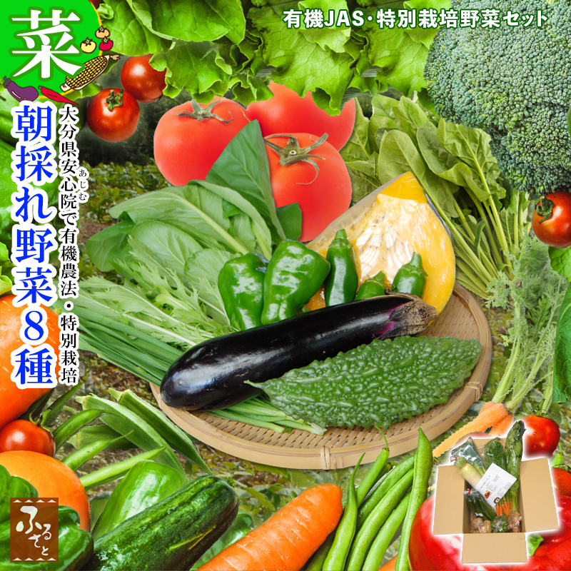 朝採れ 旬の野菜 詰め合わせ おまかせ 8種 セット 有機 JAS 4種 以上 + 特別栽培  野菜セット 大分県 安心院産 冷蔵｜shop-furusato