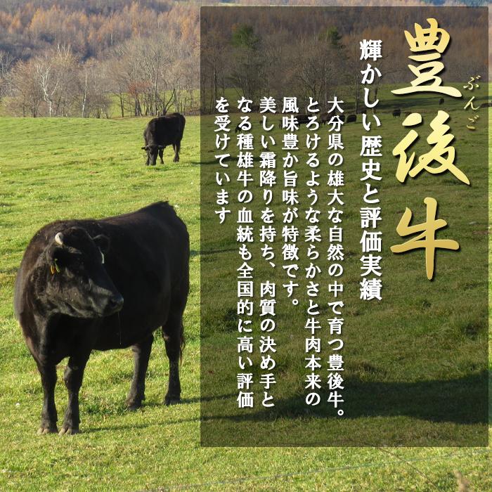 大分 豊後牛 1ポンドステーキ 黒毛和牛 モモ肉 約450g ゆふいん牧場 国産 生肉 黒毛和牛 牛肉 肉ギフト｜shop-furusato｜04