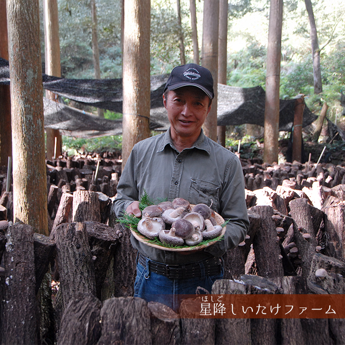最高級 大分県産 原木栽培 朝採れ 生椎茸 800g 肉厚 農家直送 星降