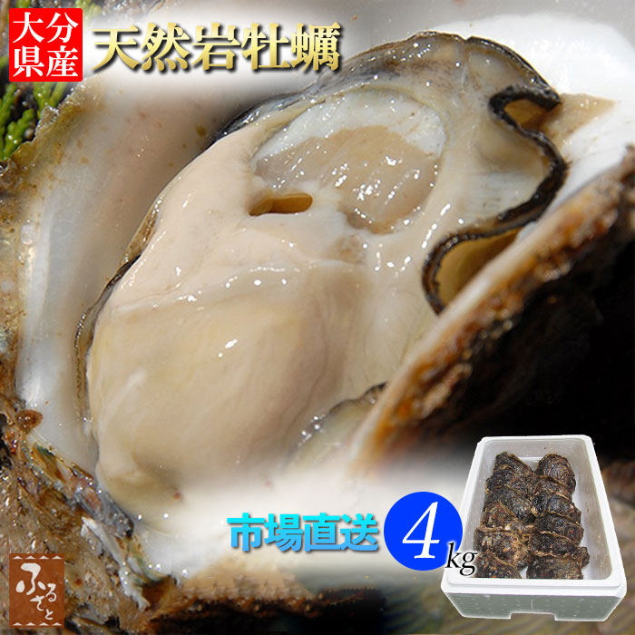 y200~N[|z y kt 啪Y VR  ≲y 10`15 4kg Mp  ① a JL kt  o[xL[