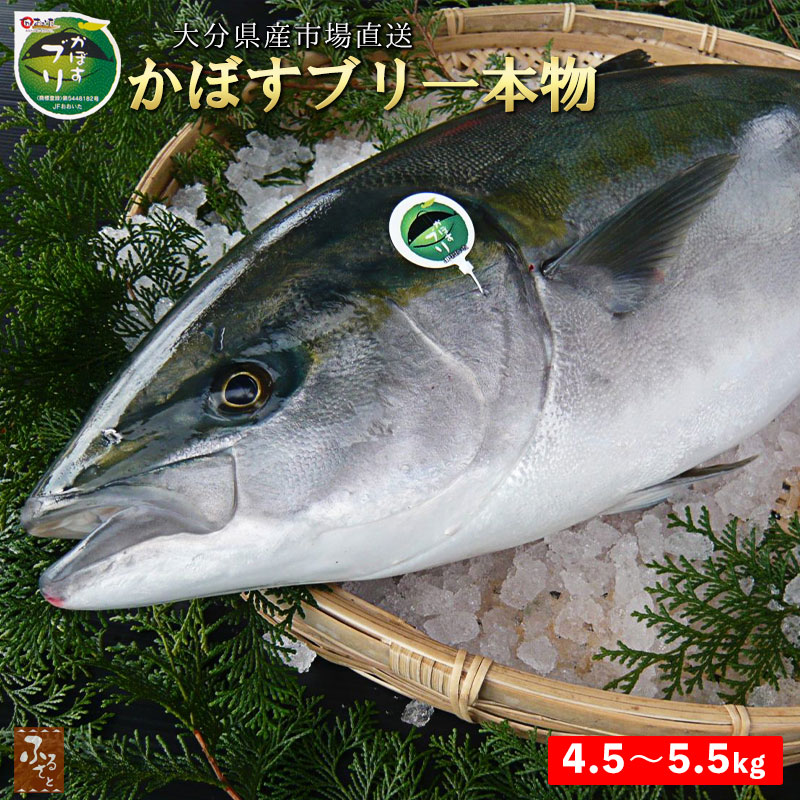 鮮魚 直送 大分 かぼすブリ 一本物 4.5kg〜5.5kg 養殖 鮮魚 カボス ぶり 鰤 刺身 しゃぶ 照り焼き カマ焼き 海鮮丼 造り 寿司