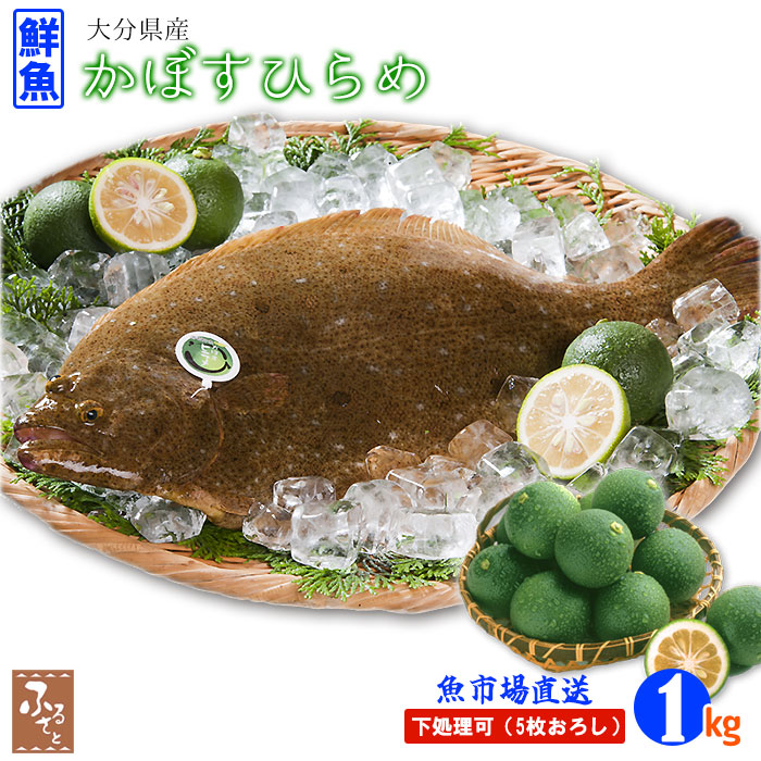 鮮魚 かぼすヒラメ 約1kg ( 活け〆 5枚おろし 丸 ) 大分県産 フルーツ