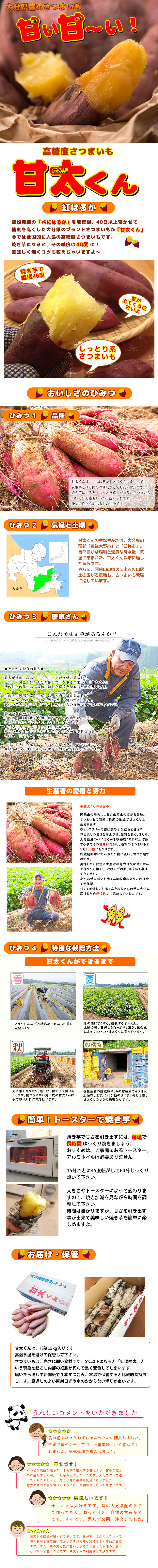 9月頃予約受付開始】 高糖度 さつまいも 甘太くん 5kg x1箱 秀