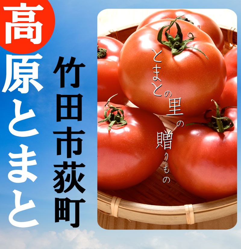 大分県の特産品専門店ふるさと - 荻町トマト農家のギフトセット｜Yahoo