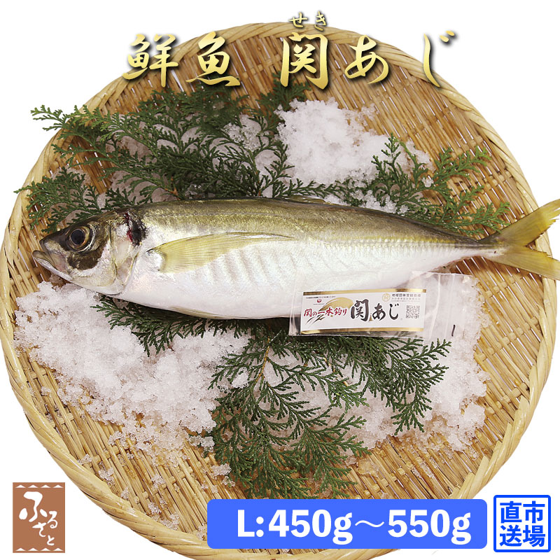 鮮魚 直送 一本釣り 活け締め 大分 関アジ 約500g 村田水産 大分市 公設地方卸売 市場 産直 お取り寄せ