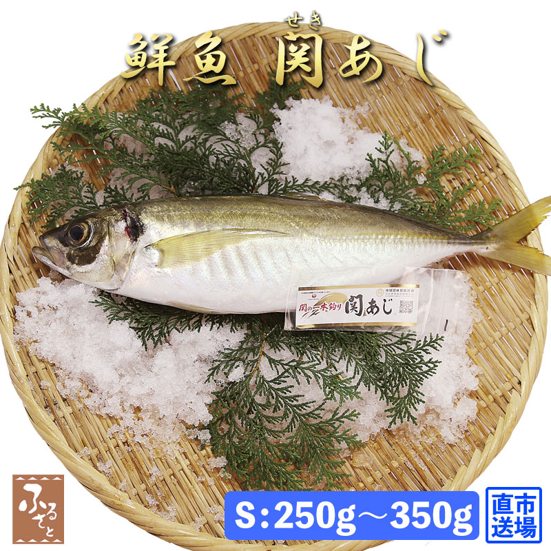 鮮魚 直送 一本釣り 活け締め 大分 関アジ 約300g 村田水産 大分市 公設地方卸売 市場 産直 お取り寄せ｜shop-furusato