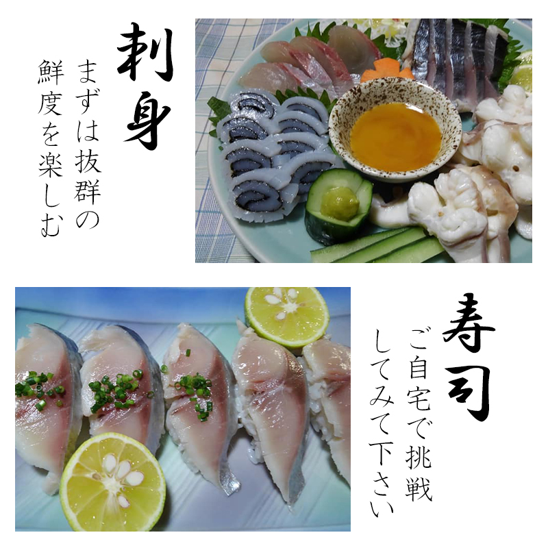 魚市場から直送！ 旬の魚介 鮮魚 おまかせセット 極 関アジ または 関サバ が必ず入る 大分市 公設地方 卸売  :sengyoset-s:大分県の特産品専門店ふるさと - 通販 - Yahoo!ショッピング