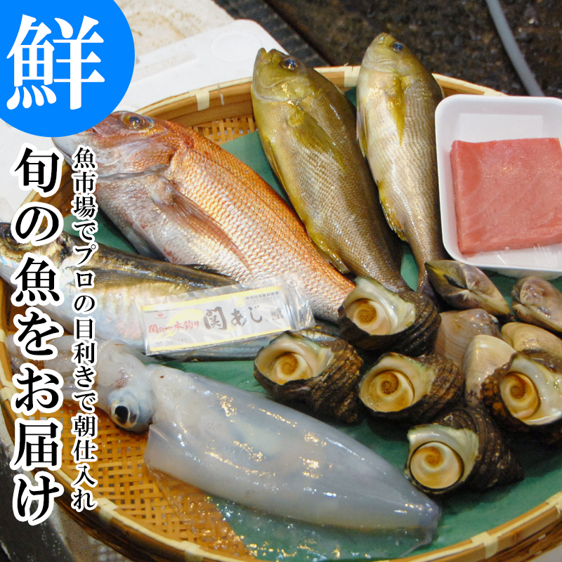 鮮魚 直送 魚市場から！ 旬の魚介 鮮魚 おまかせセット 極 関アジ または 関サバ が必ず入る 大分市 公設地方 卸売