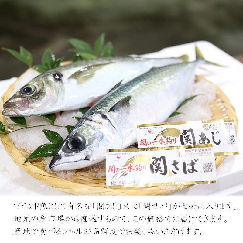 魚市場から直送！ 旬の魚介 鮮魚 おまかせセット 極 関アジ または 関サバ が必ず入る 大分市 公設地方 卸売 :sengyoset-s:大分県の特産品専門店ふるさと  - 通販 - Yahoo!ショッピング