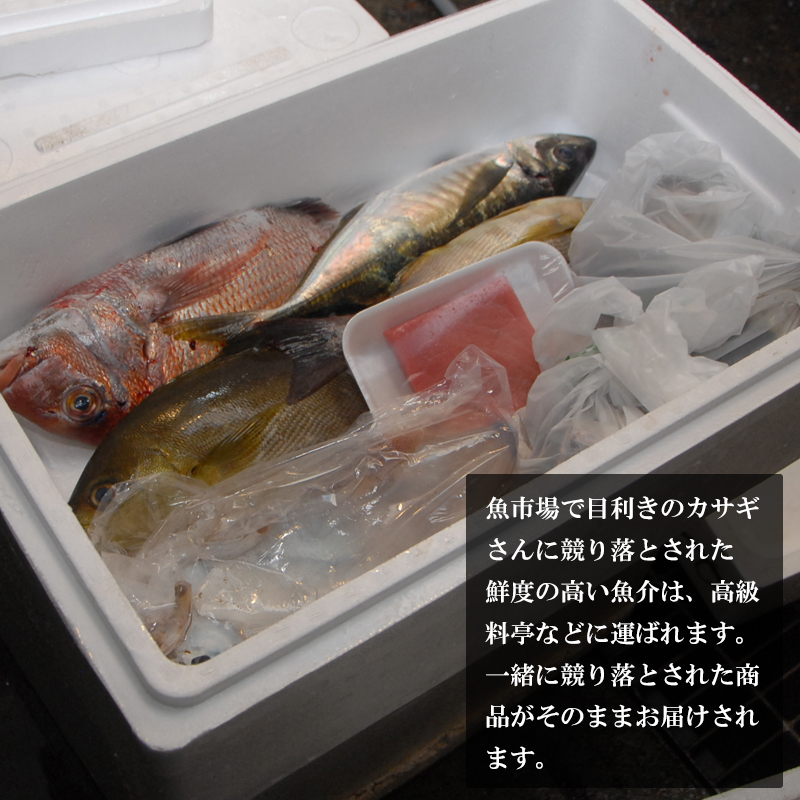 魚市場から直送！ 旬の魚介 鮮魚 おまかせセット 極 関アジ または 関サバ が必ず入る 大分市 公設地方 卸売  :sengyoset-s:大分県の特産品専門店ふるさと - 通販 - Yahoo!ショッピング