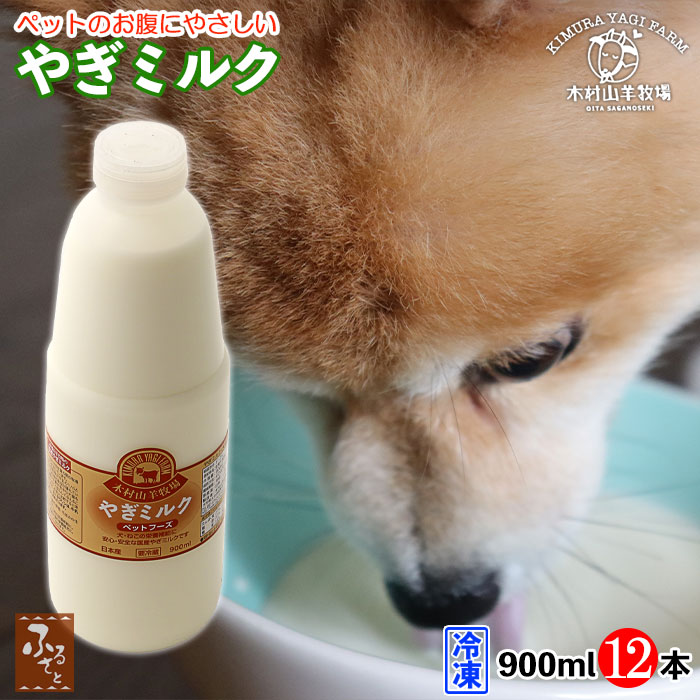 木村山羊牧場 ヤギミルク 900ml 12本 冷凍 大分県産 ゴートミルク 低脂肪 低カロリー 国産 無添加 肥満犬 老犬 子猫 老猫 猫 犬 :yagimilk900x12:大分県の特産品専門店ふるさと