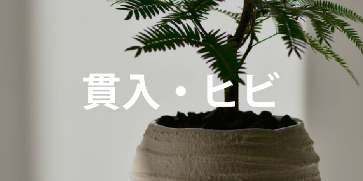 植木鉢の専門店 鉢人 - 貫入・ヒビ｜Yahoo!ショッピング