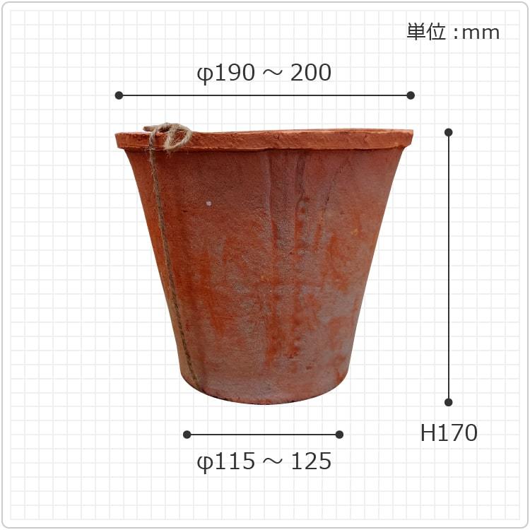 植木鉢 おしゃれ 陶器鉢 MOSSポット KT101-200 7号(20cm) 鉢底穴