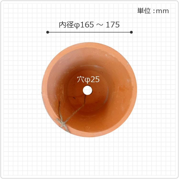 素焼きのような丸形鉢 台座付き 植木鉢 おしゃれ 陶器鉢 MOSSポット KT101-200 7号(20cm) 鉢底穴