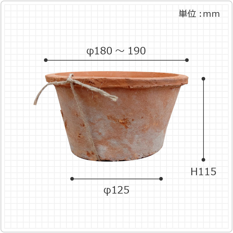 植木鉢 おしゃれ 陶器鉢 MOSSポット KT102-190 6号(19cm) 鉢底穴有り