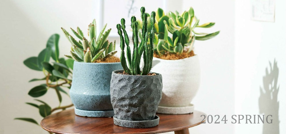 植木鉢の専門店 鉢人 - Yahoo!ショッピング