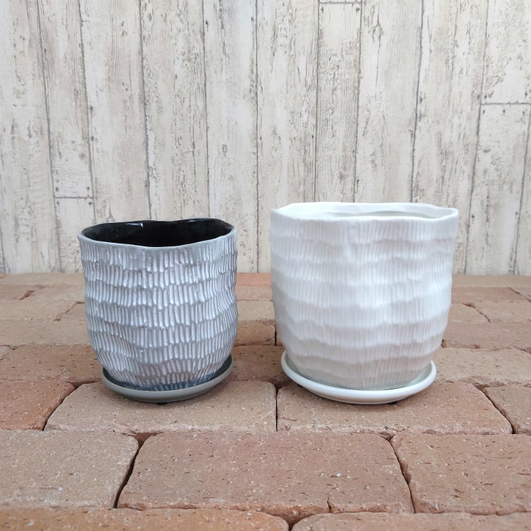 植木鉢 おしゃれ 陶器鉢 シンプルボーダーポット MM009-170 5.5号(17cm 