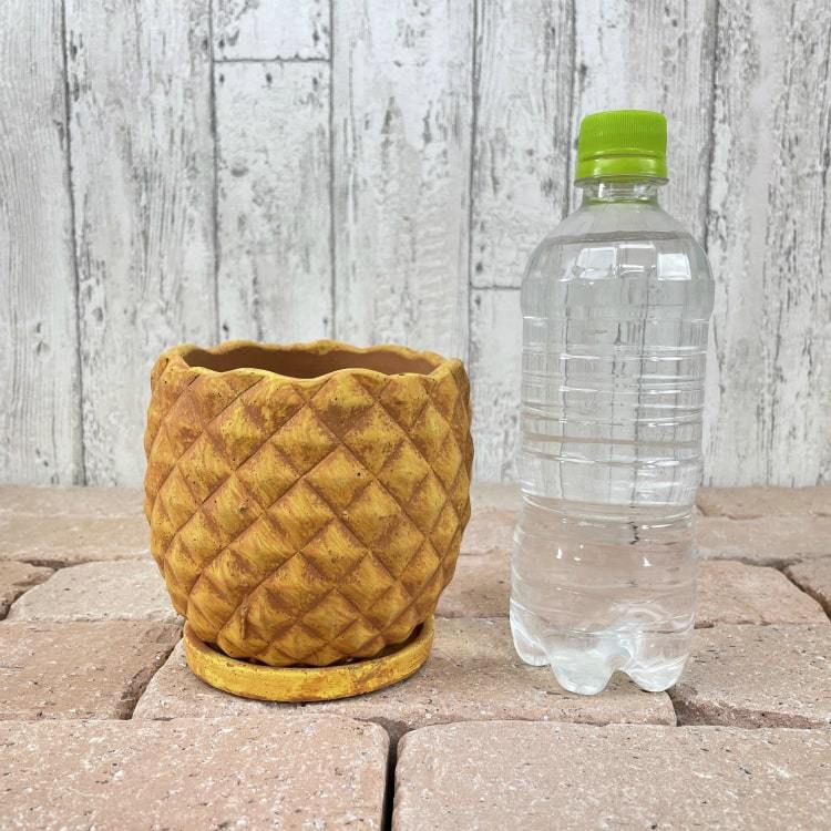 片口 特大 大鉢 40cm 大人数 パーティー 鍋もの 一点物 作家物