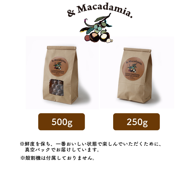 マカダミアナッツ 250g 殻付き  MAKADAMIA アンドマカダミア [201007] :ORIGINALNATS005:HOOD - 通販  - Yahoo!ショッピング