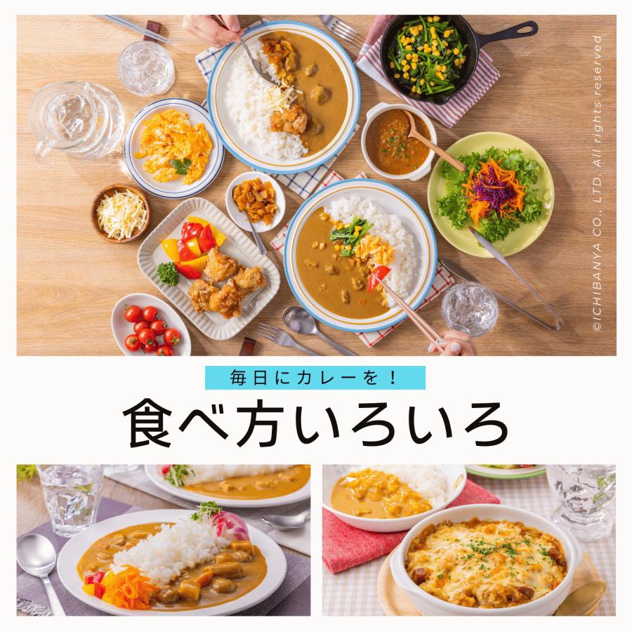 カレーハウスCoCo壱番屋 レトルトカレー 5種10個入 ポーク ビーフ 甘口