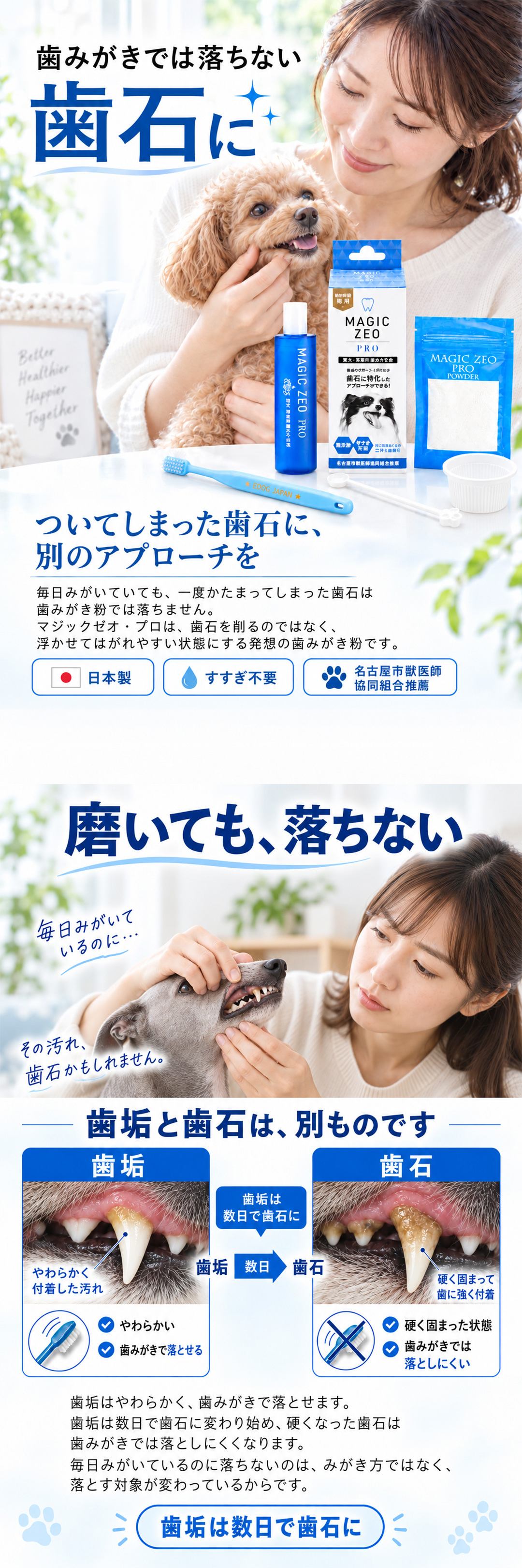 MAGIC ZEO 犬 歯磨き 犬歯ブラシ 歯石取り マジックゼオ プロ 4点