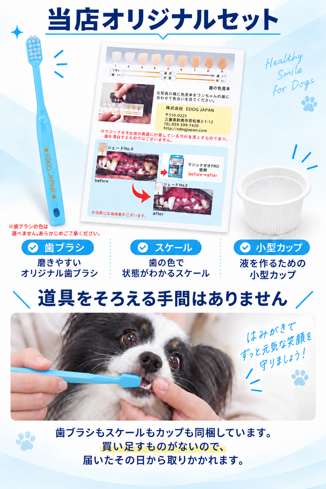 MAGIC ZEO 犬 歯磨き 犬歯ブラシ 歯石取り マジックゼオ プロ 4点