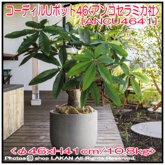 コーディル Uポット コンクリートφ46cm U型コンクリート製植木鉢 / ANPorcelain社 ANCU4641 : ancu4641 :  shop ラカン - 通販 - Yahoo!ショッピング