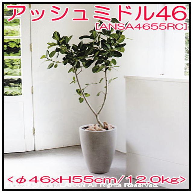 スタウトアッシュミドルφ46cm 円状型コンクリート樹脂製植木鉢