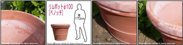 リムポット ベノッチ テラコッタ鉢 高級 ベーシックデザイン 