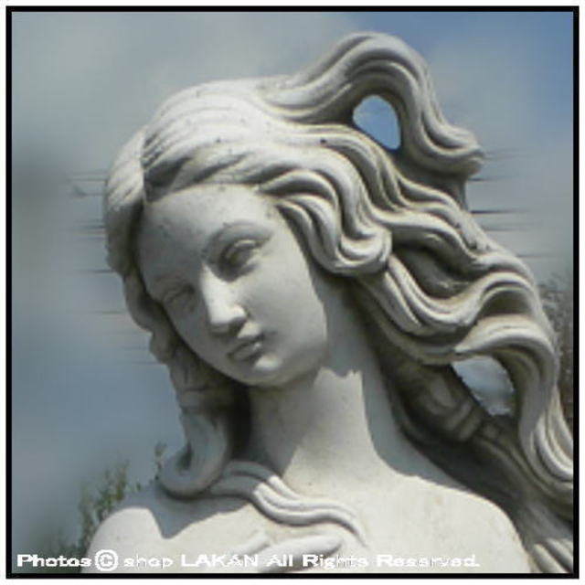 ヴィーナスの誕生 H90cm イタリア製 石造 ヴィーナス像 / イタル