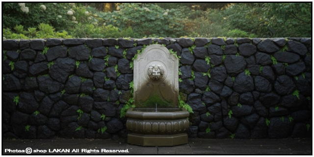 大型 壁泉 フォルミア 家庭用 