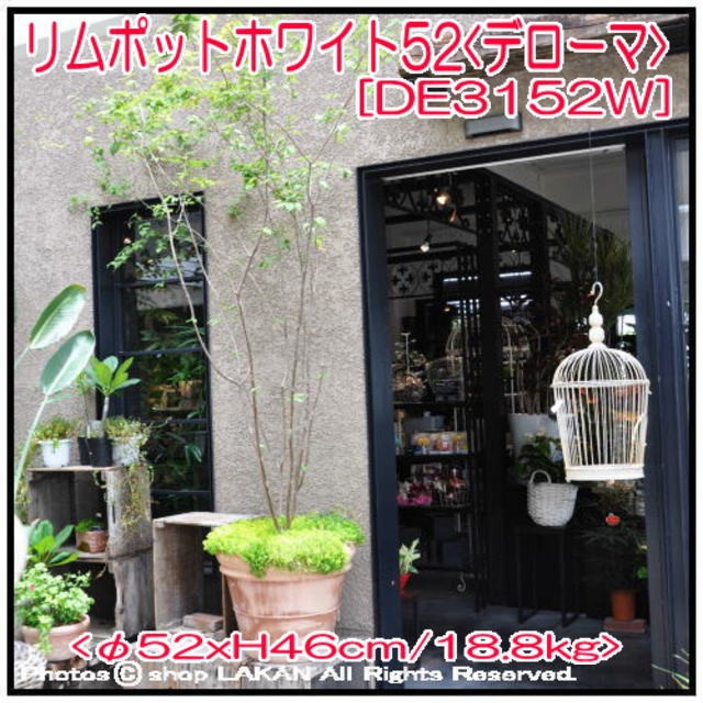 リムポット 素焼きテラコッタ鉢 植木鉢