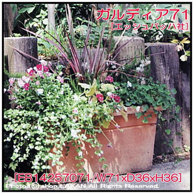 ガルデアW71cm 横長型素焼きテラコッタ製輸入植木鉢 / エッシュバッハ