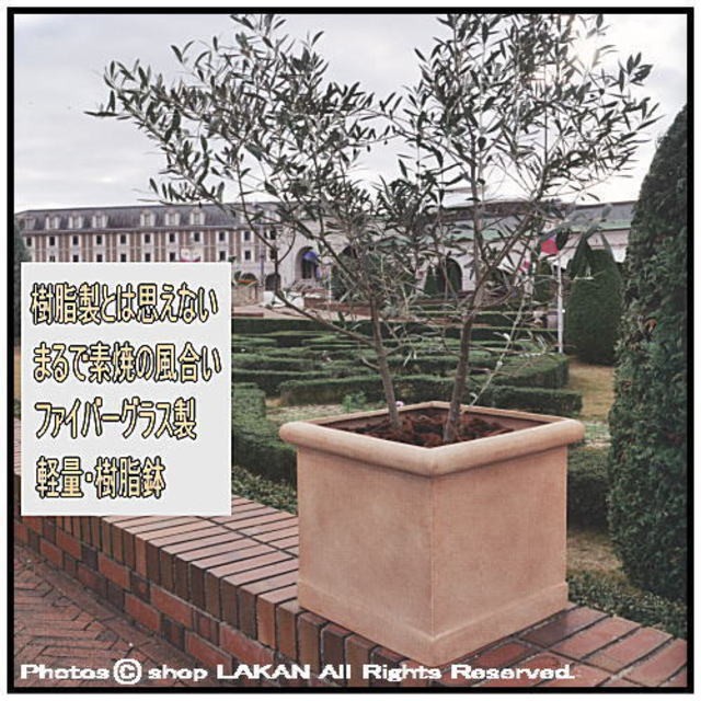 CLタブポットW65cm 正角型グラスファイバー樹脂製植木鉢 ...