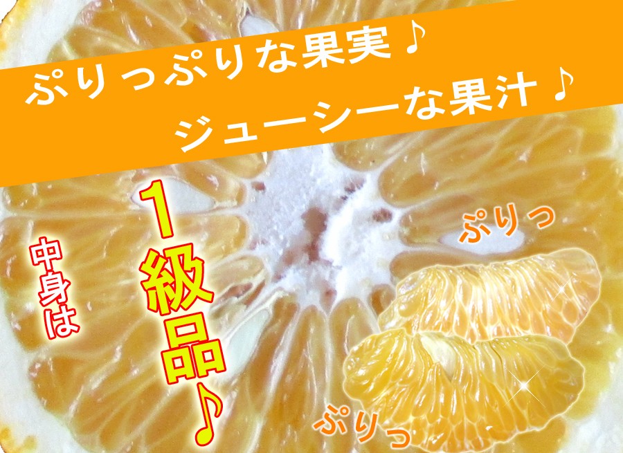 訳有りオススメ画像