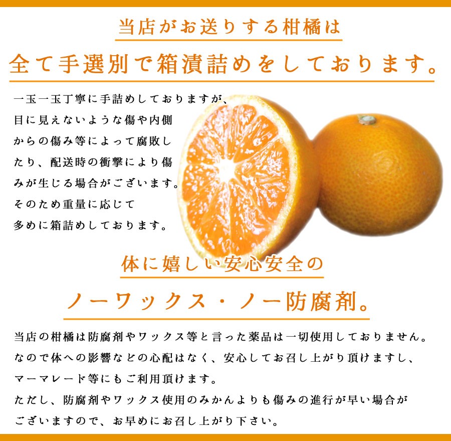 みかん 訳あり 《訳ありC級規格》 極早生 みかん 10kg （箱込約10kg 9kg＋保証分500g） 約90〜130個 送料無料 和歌山 果物  ノーワックス 温州 ミカン 蜜柑 :cqmikan10:紀州マルシゲ青果 Yahoo!店 - 通販 - Yahoo!ショッピング